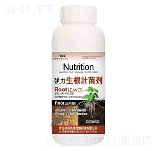 �����������焩 �ɹܼ� ����