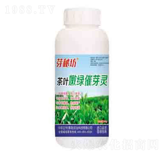 ���~�۾G��ѿ�` ѿ�ط� ����