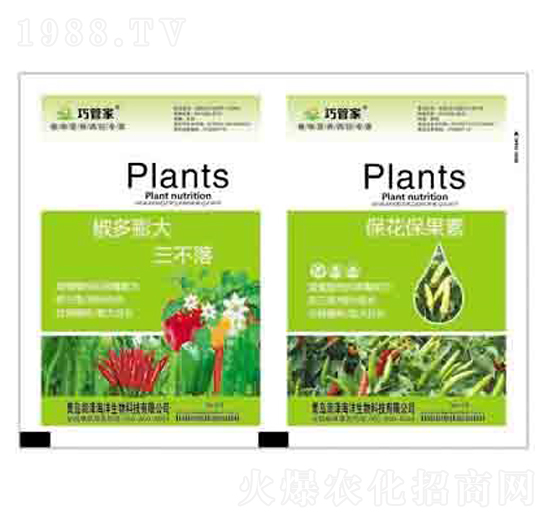 �������������+���������� ����