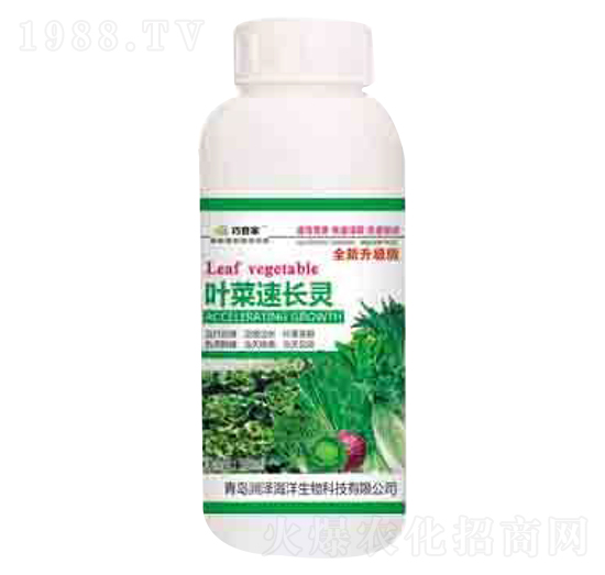 �~�����L�` �ɹܼ� ����