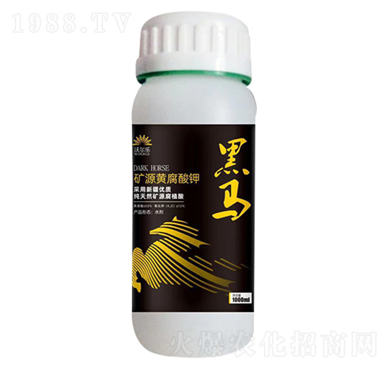 �VԴ�S�����-���R-�֠���(l��)