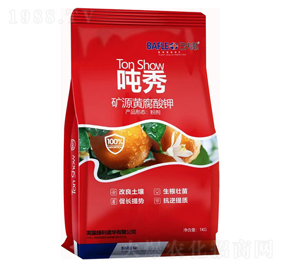 �VԴ�S�����-����-�����Z�A