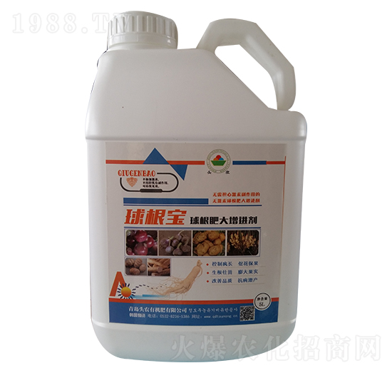 ����ʴ����M(j��n)��-�����-�^�r(n��ng)