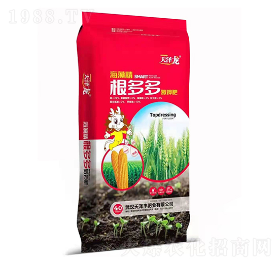 ���徫�������⛷� �����