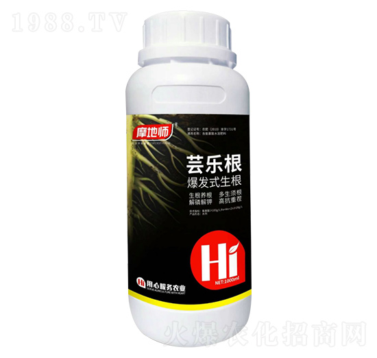 ���l(f��)ʽ���� �|��(l��)�� Ħ�؎�