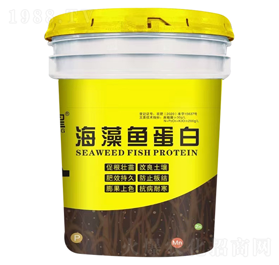 �����~���� ����