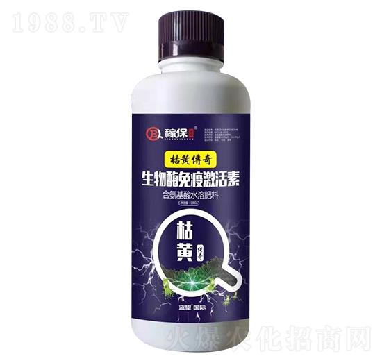 ���S���� �{��