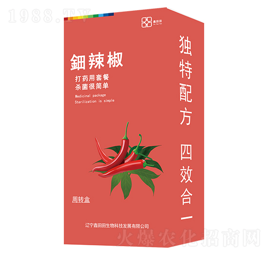 ����������b�� ������