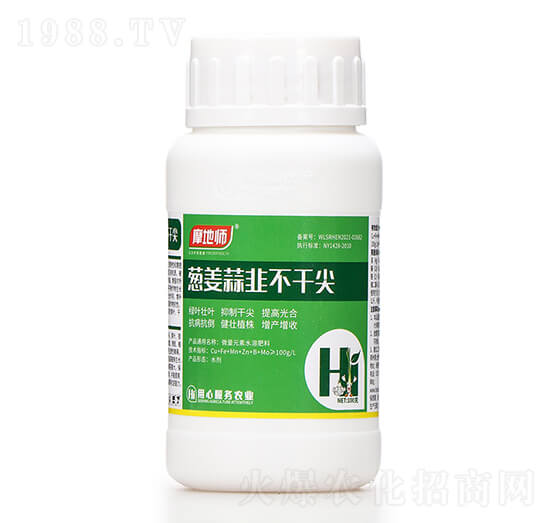 �[����²��ɼ� Ħ�؎�