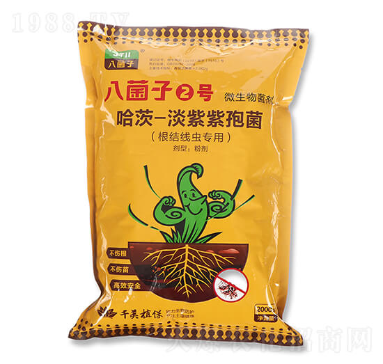 ����-�������߾� �˾���2̖(h��o) ǧ��ֲ��