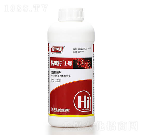 ΢������� ������1̖ Ħ�؎�