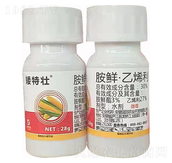 30%���r����ϩ�� ���װ��؉� ��˹��