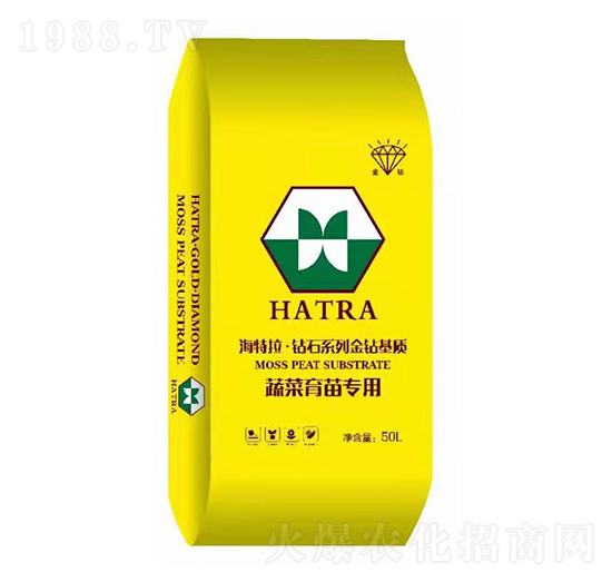 �߲����猣�� �@ʯϵ�н��@���| ������