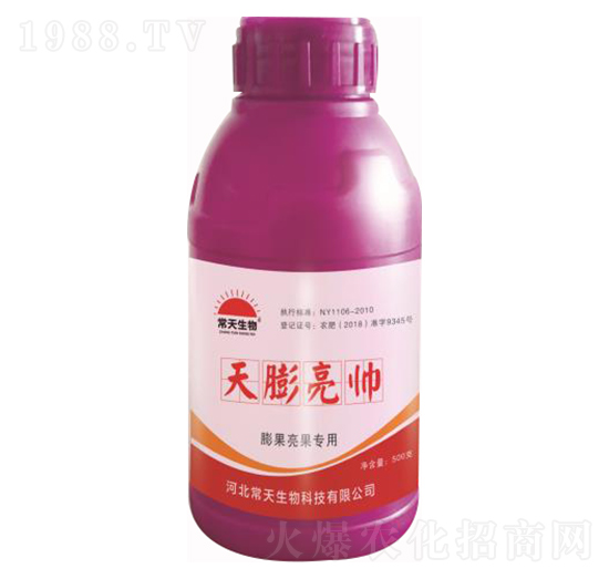 ����������� �������� ��������