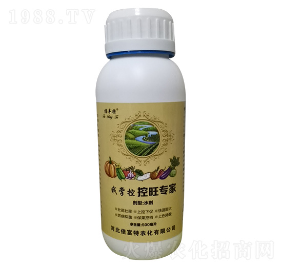 �������� ���ƿ� �������r��