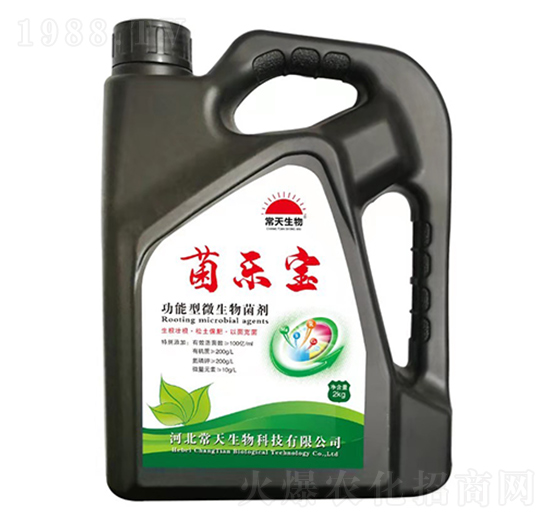 ������΢������� ������ ��������