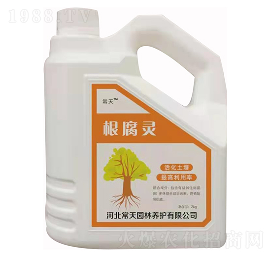 �����` ����