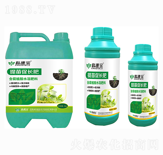 ������L(zh��ng)��-�Ƶ�