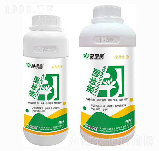 Һ�w��-�Ƶ�