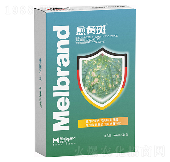 ���S�� ������