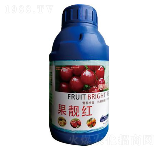 ���n�t��500g�� �Ý��S