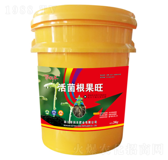 ��������� �Ý��S