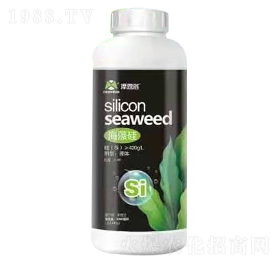 ����� Ħ����