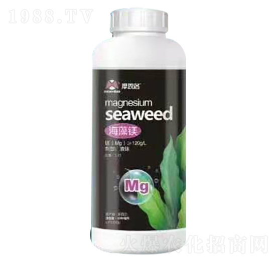 �����V Ħ����