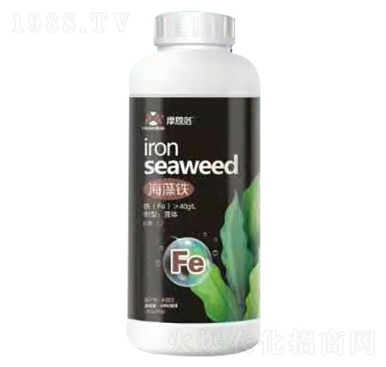 �����F Ħ����