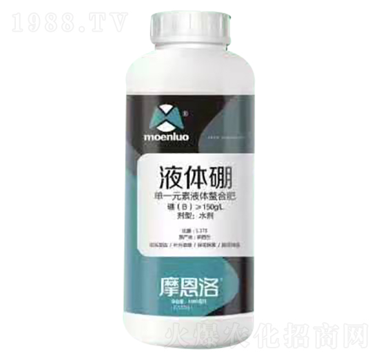 Һ�w�� Ħ����