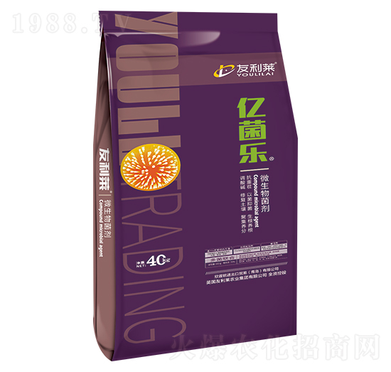 ΢������� �|���� �����R