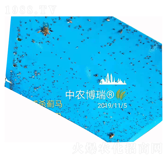 ���T�����E�R ���r(n��ng)����