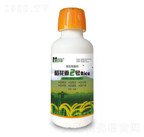 ΢�������-������2̖(h��o)-���Π�