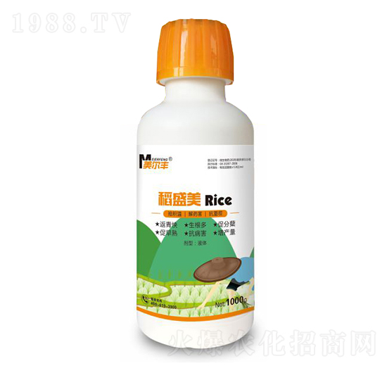 ��ʢ��-�����S-���Π�