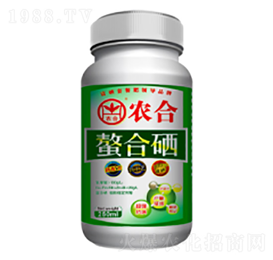 �������~���-�r(n��ng)��-�����r(n��ng)�I(y��)