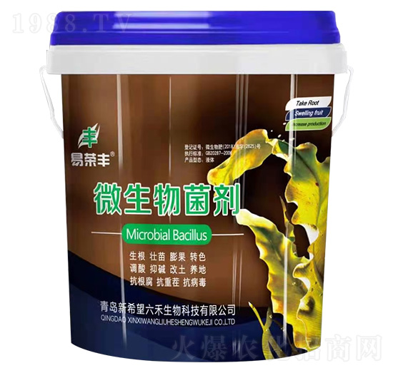 ΢�������-�טs�S-��������