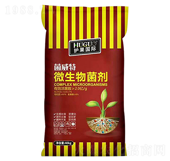 ΢�������-������-�o��