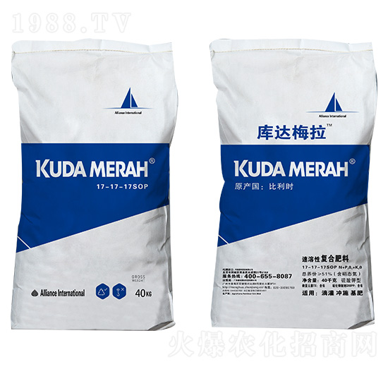 �M�������ԏ�(f��)�Ϸ���17-17-17SOP ���_(d��)÷��