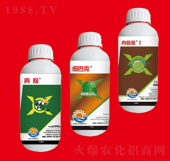 �����M�Ϣ� ��Ƚ���W(xu��)