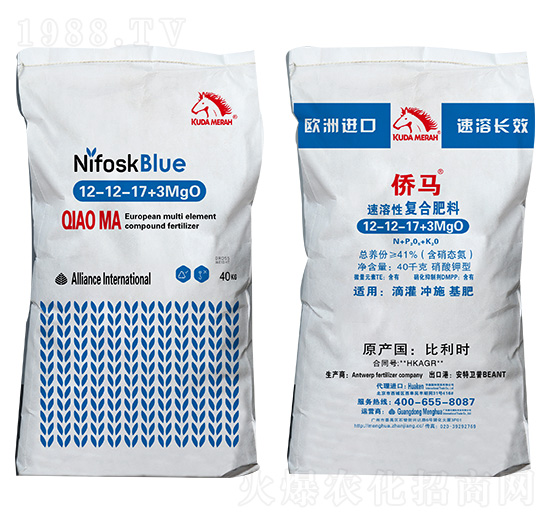 �M�������ԏ�(f��)�Ϸ���12-12-17+3MgO �S�RQIAOMA