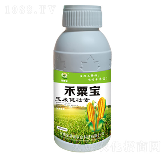 ���׽����� ������ ��M(m��n)ӯ�r(n��ng)�I(y��)