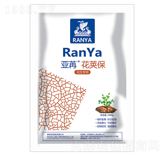 �������� ���ۻ��v�� ���ۇ��H