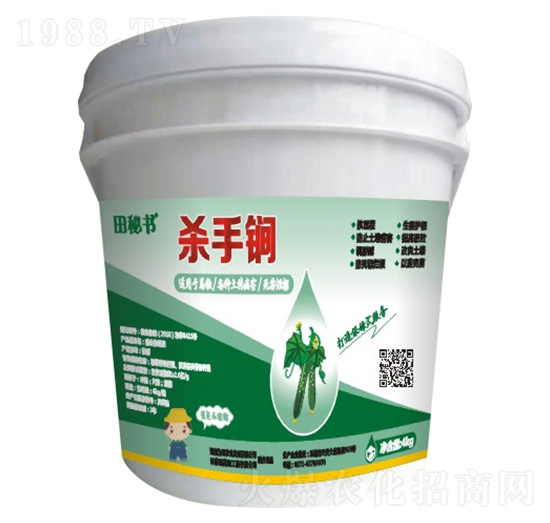 �����-���ؕ�-�����r(n��ng)�I(y��)