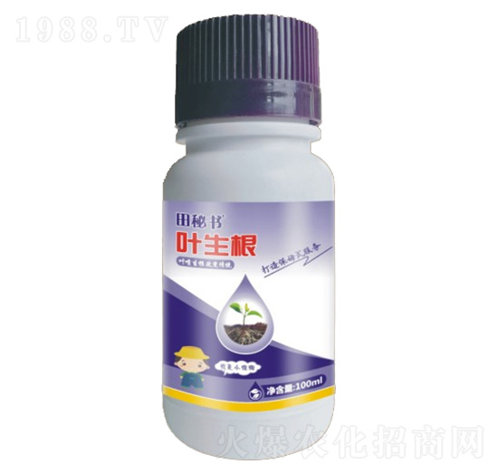 �~����-���ؕ�-�����r(n��ng)�I(y��)