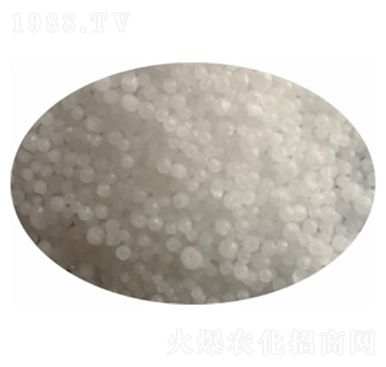 ���� ��ï�r(n��ng)�Y