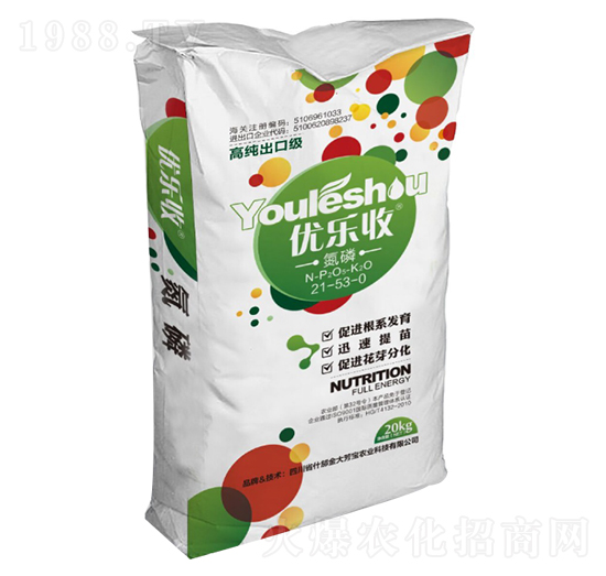 ����21-53-0 ��(y��u)��(l��)�� ��󷼌�