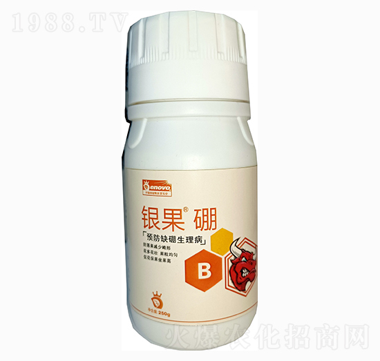 �y����-��΢����