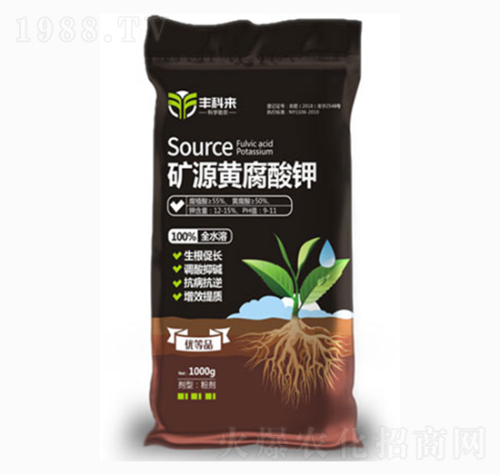 �VԴ�S�����-�S�Ɓ�(l��i)-����������