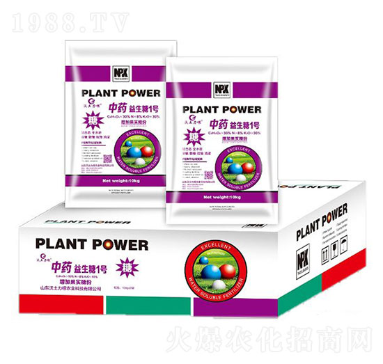 ��ˎ������1̖-�W�����F