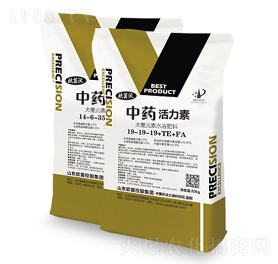 ��ˎ��������1̖-�W�����F